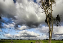 阿尔德舍奥特镇主场平局，苦战未果只能分获一分