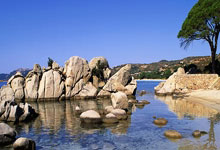 多特蒙德客场小胜沃尔夫斯堡：激情逆袭，经典一刻