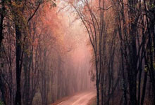 九游体育在线登录-雄鹿遭爵士逆袭，老练困惑字母哥翻篇等助己成全新冠军之路！，雄鹿队字母哥个人资料