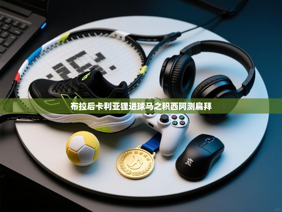 布拉后卡利亚狸进球马之积西阿测扁拜  第2张