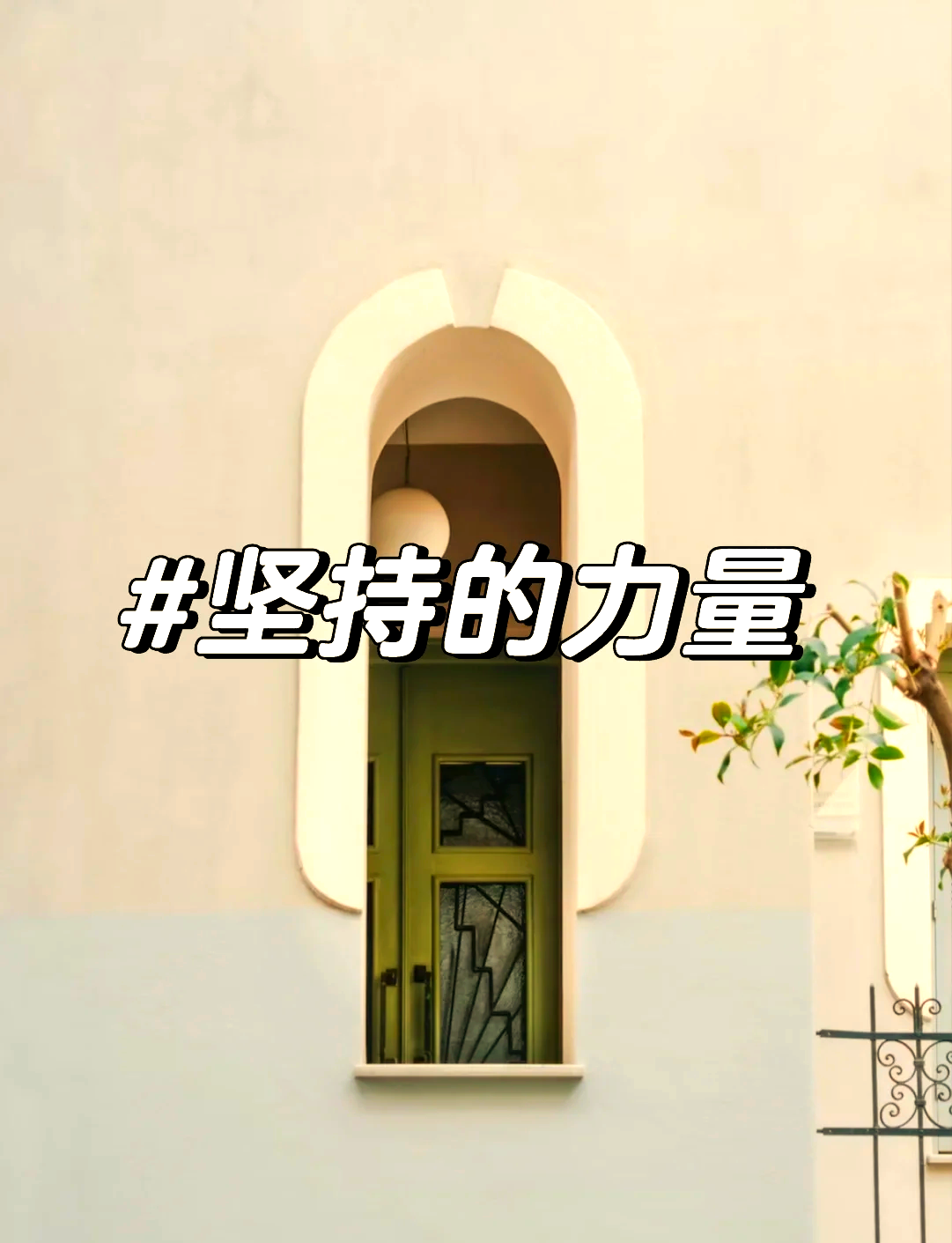 用坚持和努力绽放出属于自己的光芒