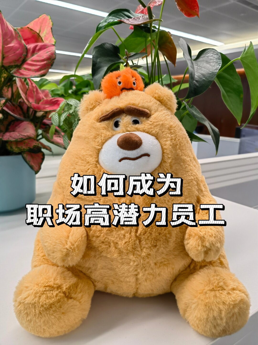包含潜力选手崭露头角，未来可期的词条
