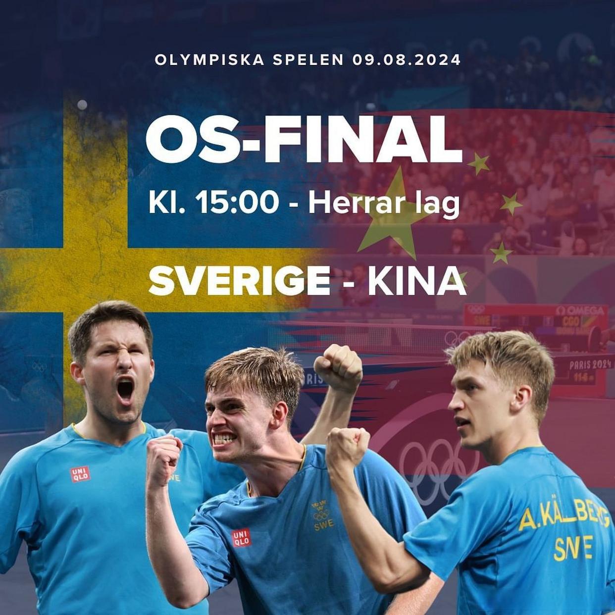 瑞典队遭遇两连败，晋级形势堪忧的简单介绍