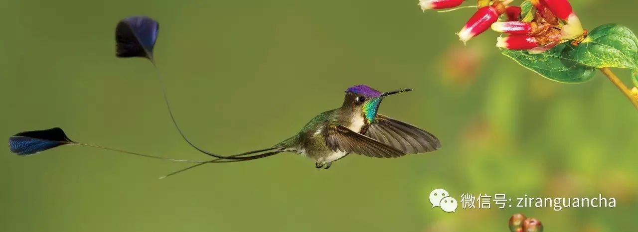 九游体育在线登录-包含委内瑞拉与苏里南交锋，实力较量的词条